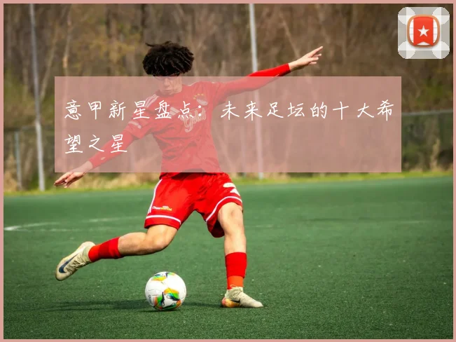 意甲新星盘点:未来足坛的十大希望之星